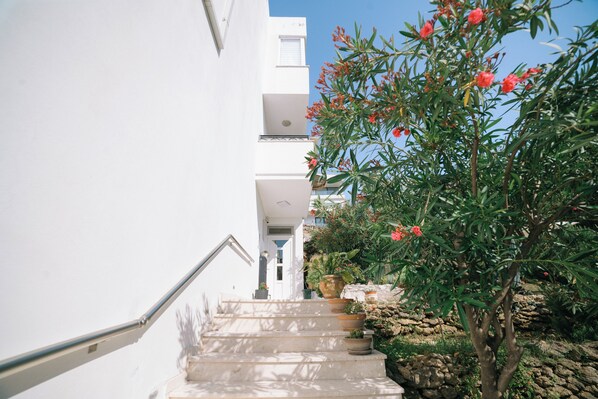 A white building with a staircase leading to a door. There are potted plants and a tree with red flowers on the right side. - Deluxe Studio Apartment with Sea view (Ulcinj)