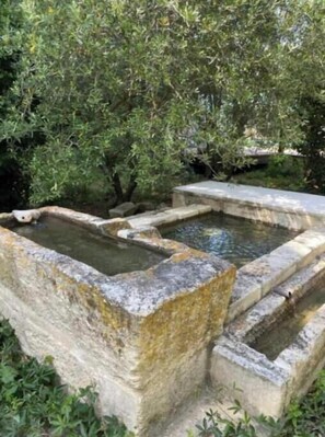 Property grounds - CECILE apartment  (Eyragues)