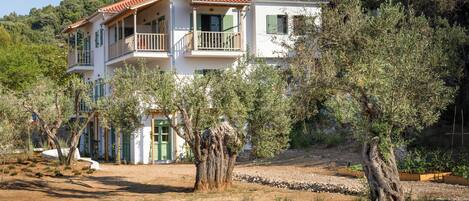 A two-story house with a balcony, surrounded by olive trees and a garden.