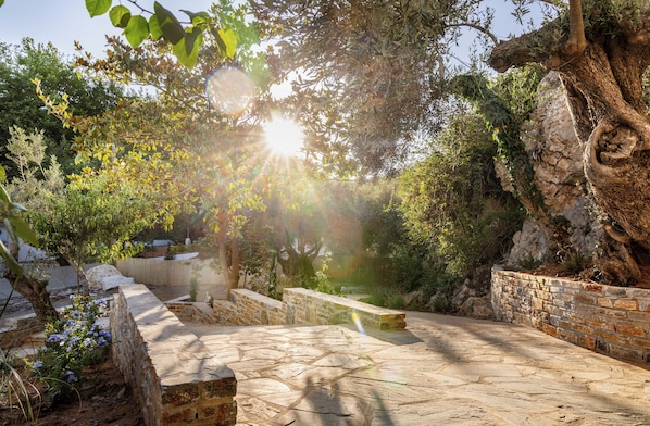 Exterior - Pelikastri (South Pelion)