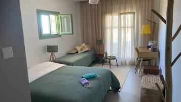 Basic Double or Twin Room