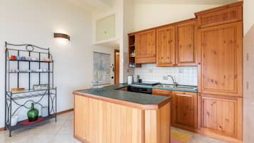 Apartment | Private kitchen | Fridge, oven, stovetop, dishwasher