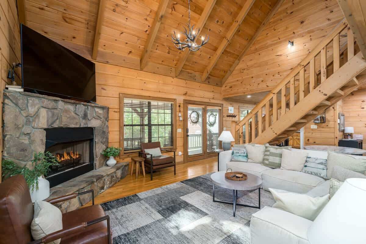 Télévision, cheminée, espaces bureaux