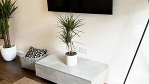 A modern living room with a flat-screen TV mounted on the wall, a grey console table with a potted plant, a floor lamp, and a woven rug. - London Stylish 1 Bedroom Apartment With Garden (London)