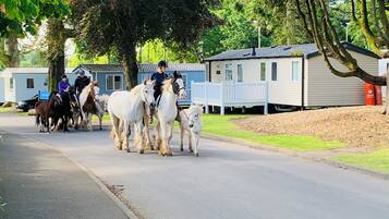 A street scene with a group of horses and riders.