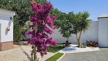 Área da propriedade