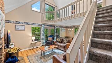 Televisión, chimenea, videojuegos y libros