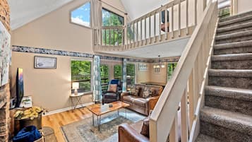 TV, fireplace, video games, books