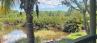 Cozy two bedroom apartment closed to the beach