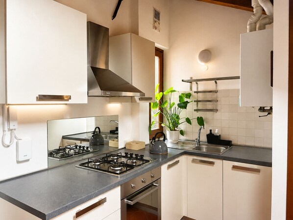 A modern kitchen with a gas stove, white cabinets, a stainless steel range hood, and a potted plant.