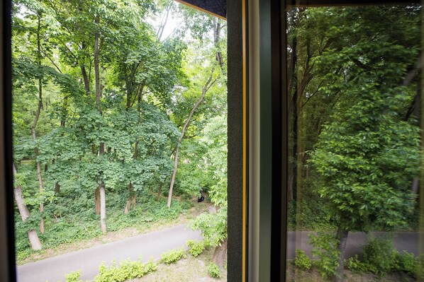 A view through a window of a forested area with a road. - ShortStayPoland Batorego B164 (Warsaw)