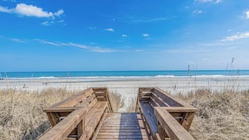 Playa en los alrededores y camastros