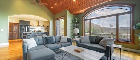 TV, fireplace, books