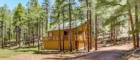 Ház (1 Bedroom) | Belső rész