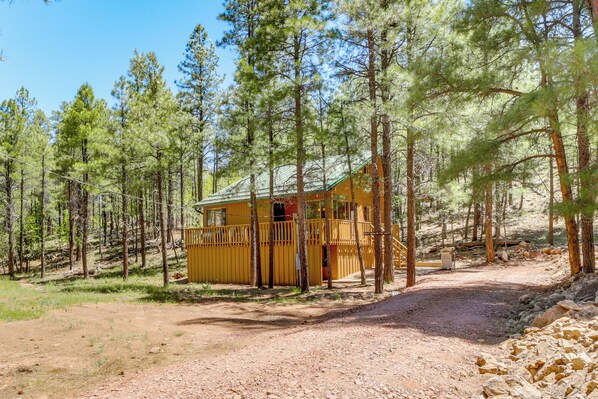 House (1 Bedroom) | Interior - Hike & Atv: Secluded Happy Jack Cabin w/ Deck (Happy Jack)