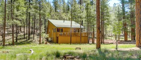 House (1 Bedroom) | Exterior