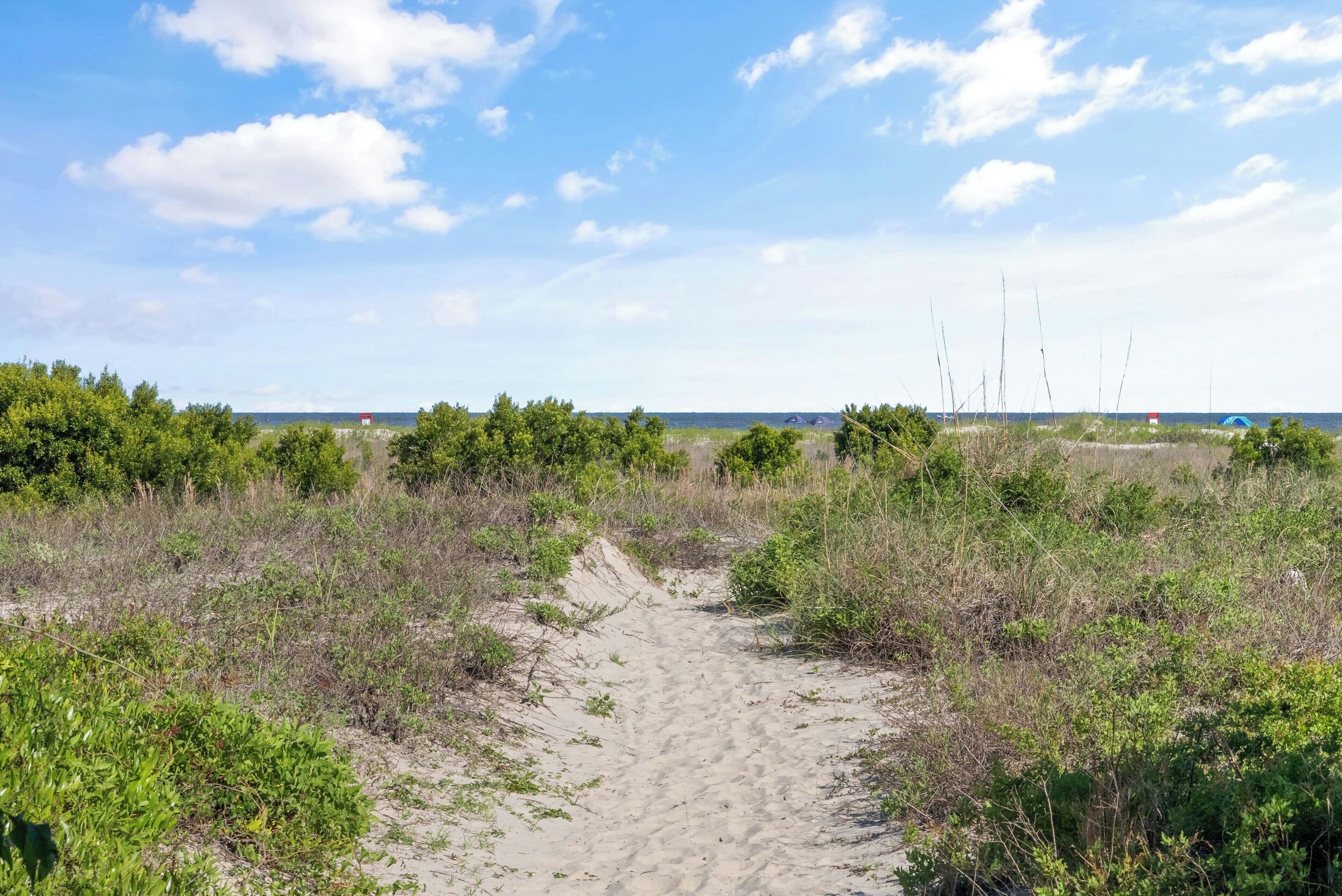 Un camí de sorra que condueix a una platja amb vegetació escassa i un cel serè.