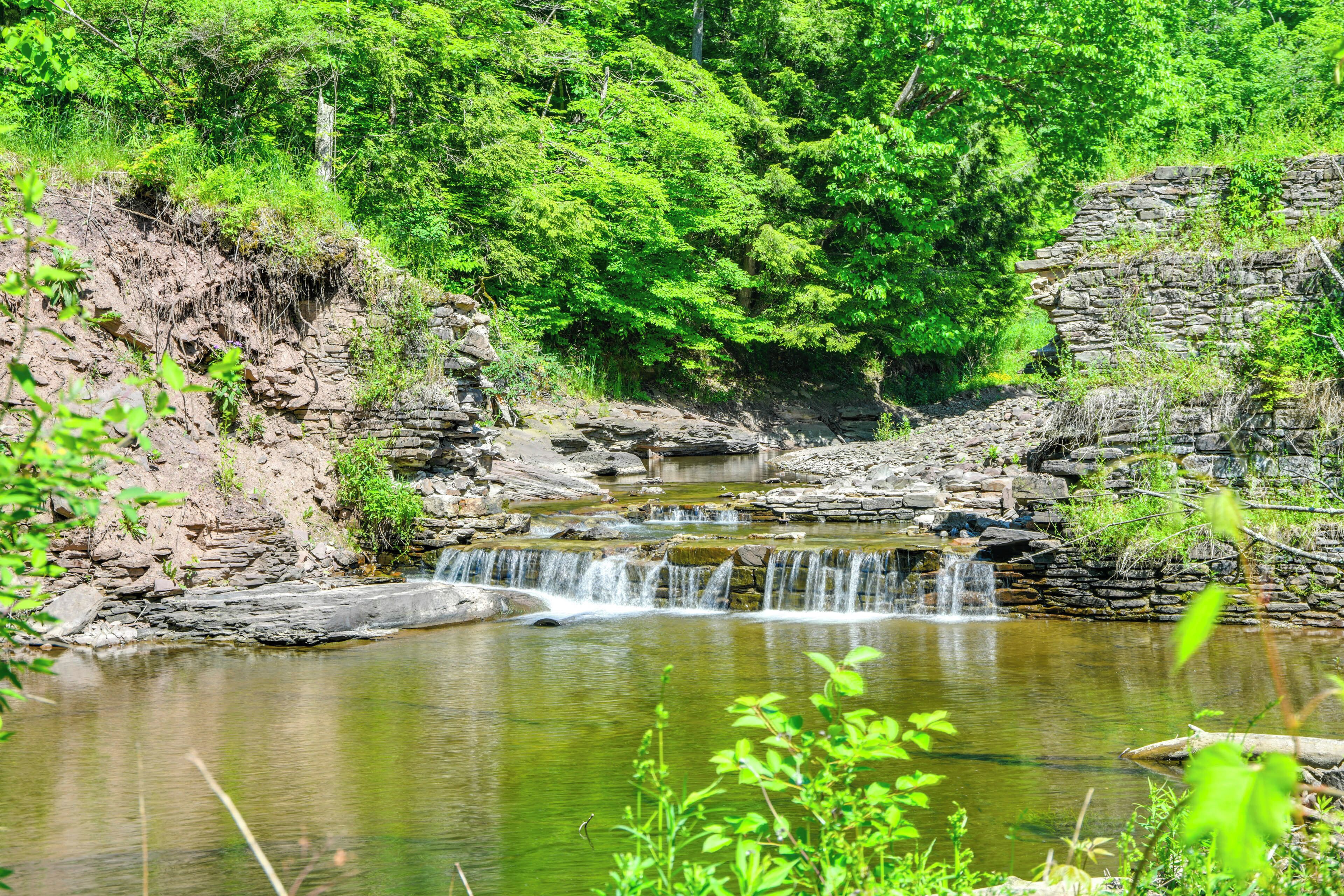 A natural landscape with a waterfall, rocky terrain, and dense green foliage.