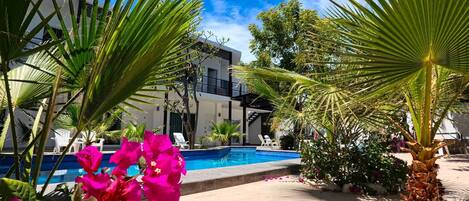 Una piscina al aire libre, una piscina climatizada
