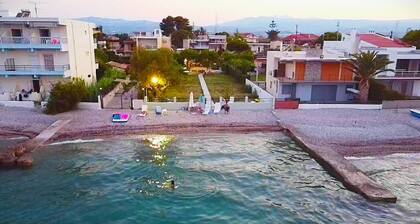 A beautiful,renovated house on the sea! Quiet & ideal for families.Pet friendly