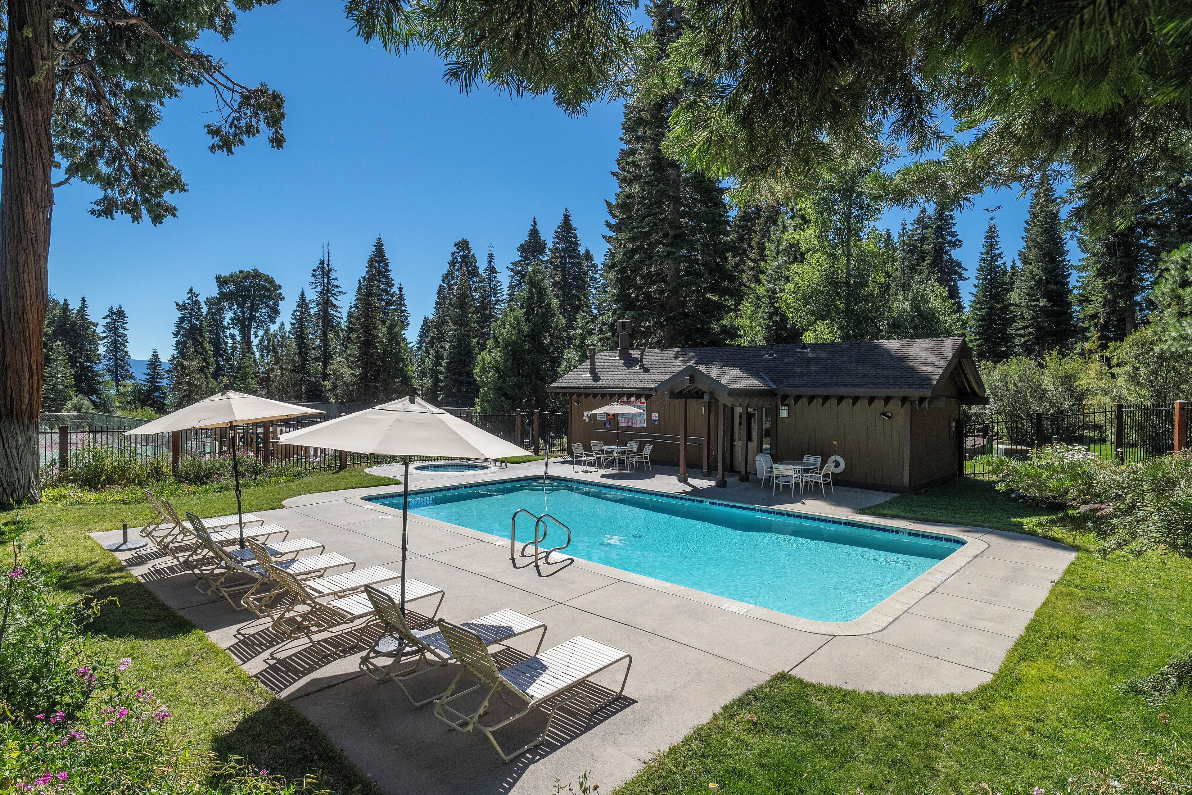 A backyard with a swimming pool, lounge chairs, and a small building.