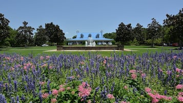 Condo, 3 Bedrooms | Golf