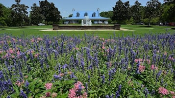 Condo, 2 Bedrooms | Property grounds