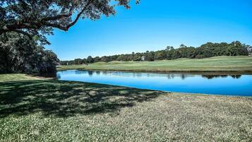 Condo, 3 Bedrooms | Lake view