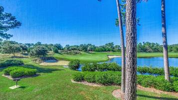 Condo, 2 Bedrooms | Golf