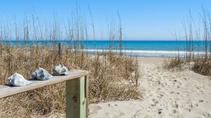 Ein Strand mit einer Holzbank und Seetang im Vordergrund.
