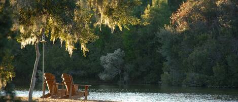 A lakeside setting with two Adirondack chairs under a tree with hanging moss, surrounded by dense forest.