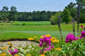 Appartamento, 2 camere da letto | Golf