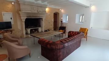 TV connectée, cheminée, livres