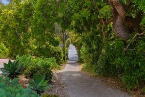 Property grounds - Mesa Gem: Charming Coastal Stay (Santa Barbara)