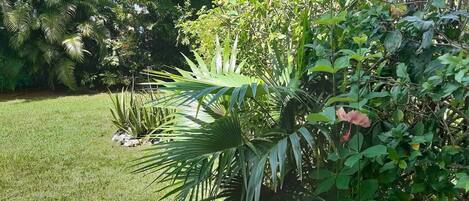 Overnatningsstedets område