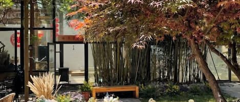 A serene indoor garden with a variety of plants, a seating area, and a bamboo backdrop.