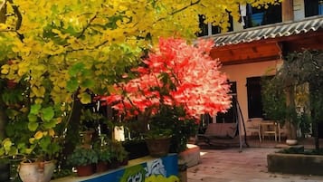 A courtyard with potted plants and a mural on the wall.