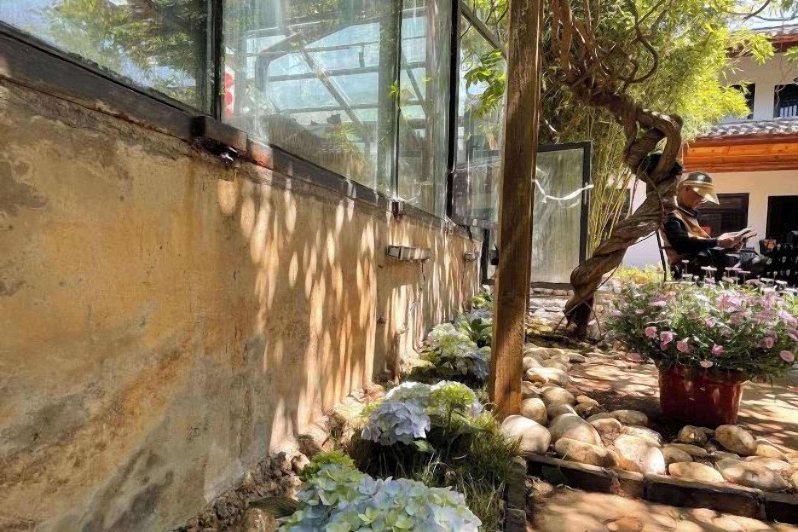 A garden with a stone pathway, potted plants, and a building with large windows.