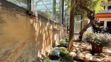 A garden with a stone pathway, potted plants, and a building with large windows.