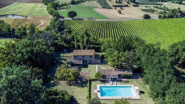An aerial view of a property with a large vineyard, a house with a tiled roof, and a swimming pool.