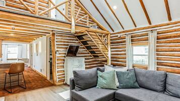 TV, fireplace, video games, table football