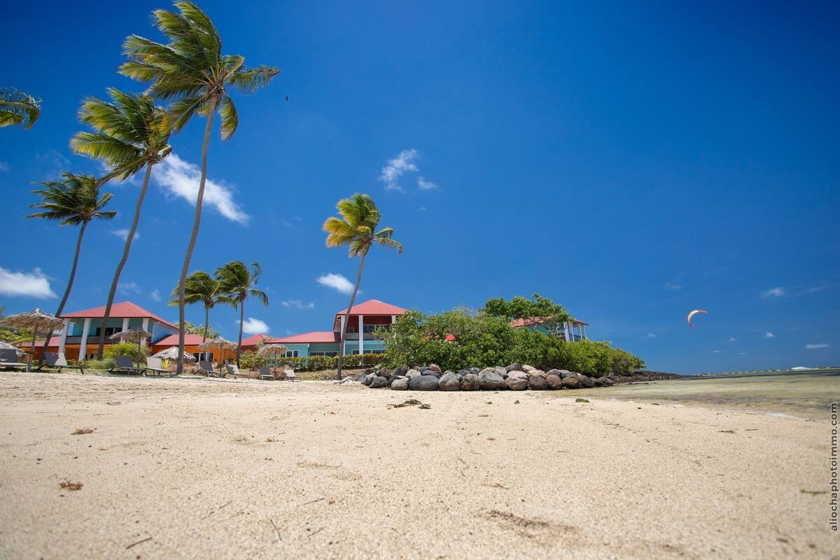 Une plage bordée de palmiers, un bâtiment aux toits rouges et un ciel bleu azur.