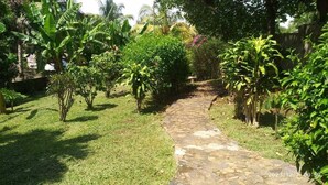 A stone pathway in a lush garden with various tropical plants and a stone bench.