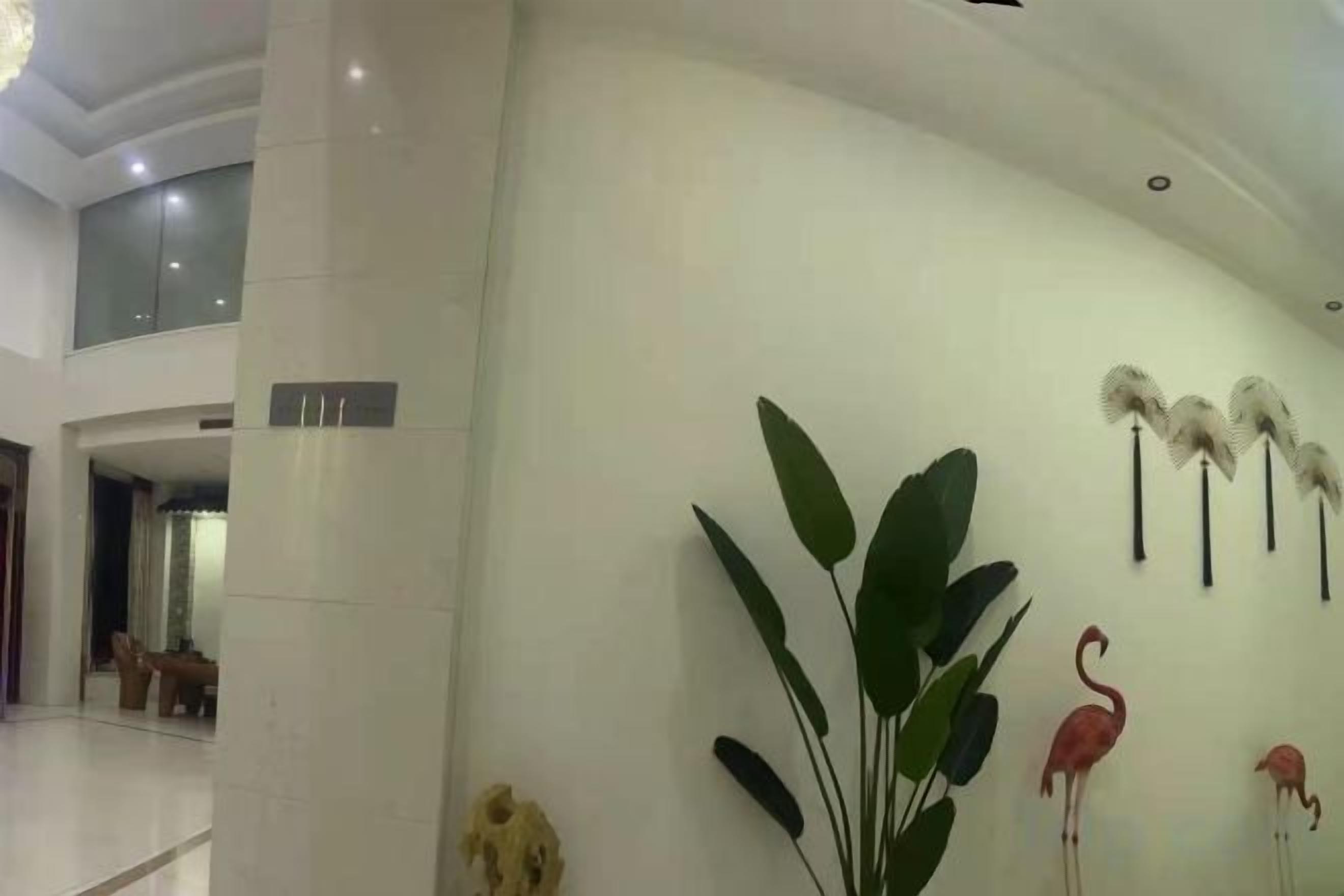 Un vestíbulo con pared blanca, una planta grande y un elemento decorativo en la pared.