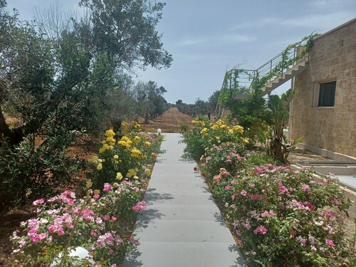 Camera Carolea tra gli ulivi del Salento e spiagge Porto cesareo e Torre Lapillo