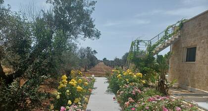 Camera Carolea tra gli ulivi del Salento e spiagge Porto cesareo e Torre Lapillo