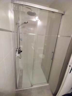 Shower, hair dryer, toilet paper