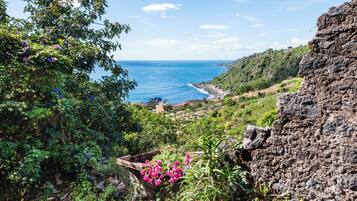 Vista dalla struttura