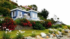 Une maison bleue avec un mur en pierre et un jardin où poussent des fleurs rouges et des fleurs blanches.