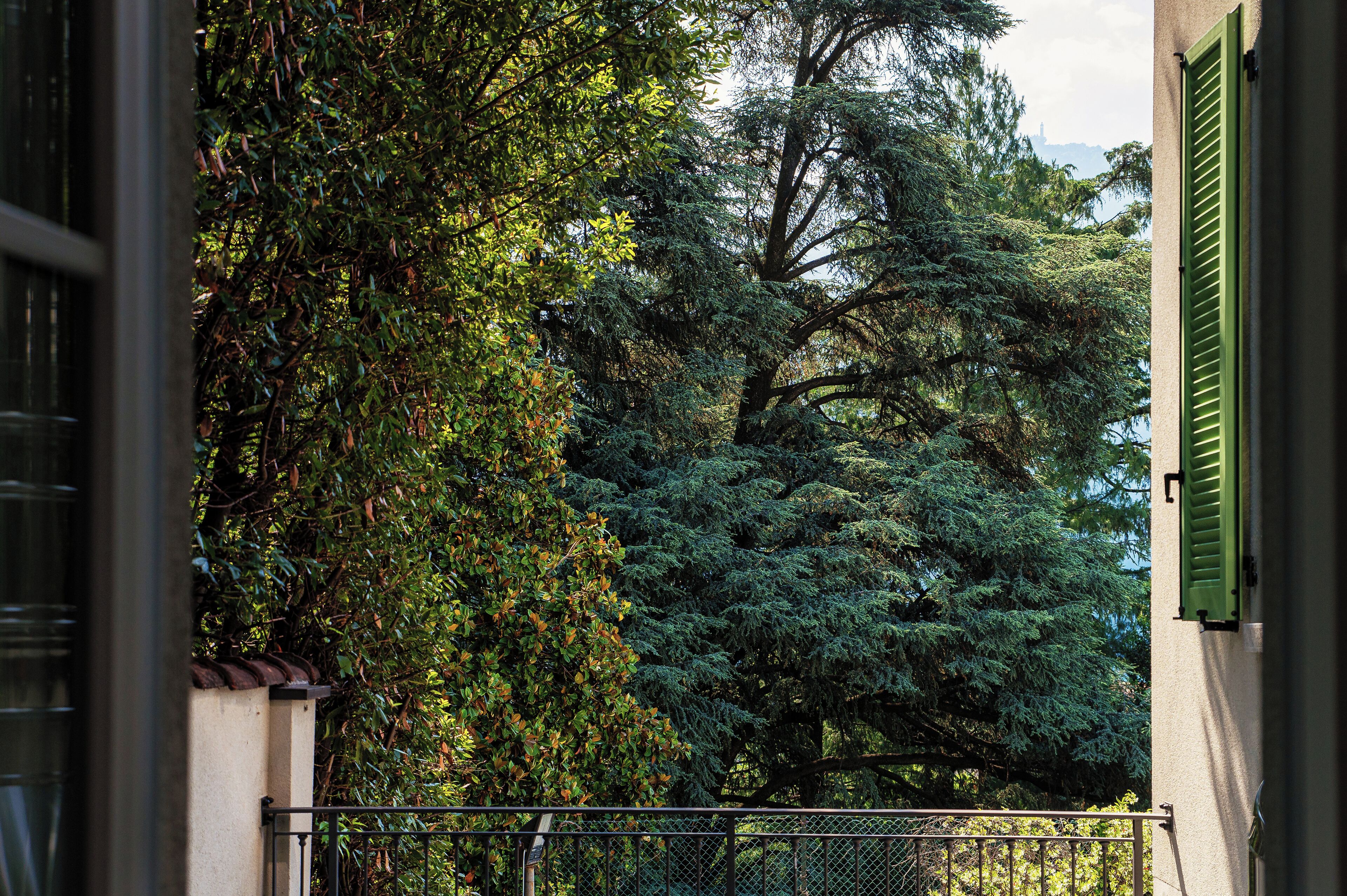 Une vue d’un bâtiment avec un volet vert, entouré d’un feuillage dense et d’arbres.